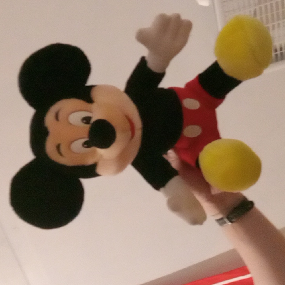 Mickey mouse stuff animal